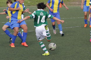 乐鱼官网-中国足球联赛赛事宣传内容不断丰富，足球赛宣传口号  第3张